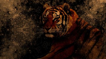 Abstract black animals tigers grunge brown background wallpaper