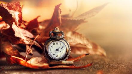 Autumn (season) leaves clocks everything sunlight ink wallpaper
