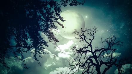 Clouds trees moon moonlight skies wallpaper