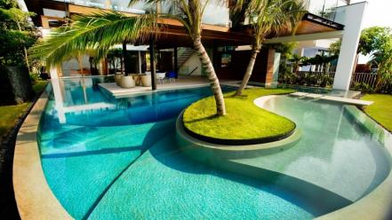 Fish palm trees house swimming pools renders wallpaper