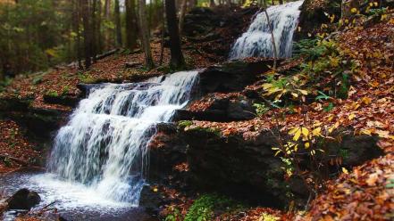 Forests rocks streams waterfalls massachusetts bing fallen leaves wallpaper