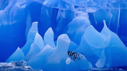 Icebergs antarctica chinstrap penguins birds wallpaper