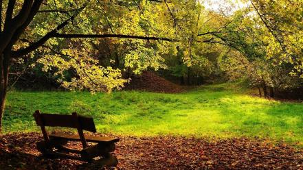 Landscapes nature wood leaves bench logs wallpaper