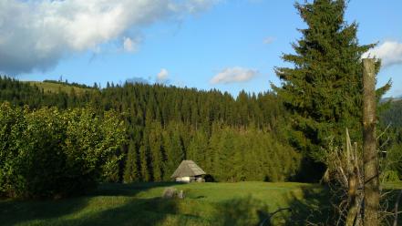 Nature forest romania transylvania cottage wallpaper