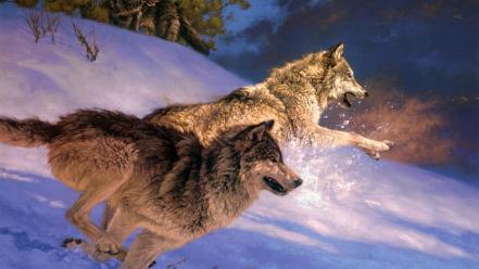 Paintings snow animals jumping running wolves wallpaper