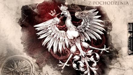 Polish poland victory proud orzeł ball wallpaper