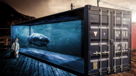 Surreal sharks boys 3d containers situation wallpaper