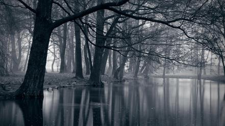Water landscapes nature dark forest lakes mystic park wallpaper
