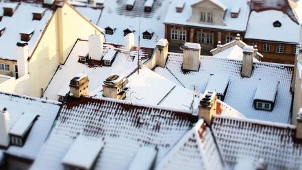 Winter snow birds czech houses prague perspective wallpaper