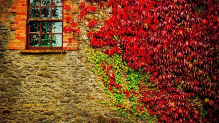 Autumn (season) wall houses plants vegetation windows suburbia wallpaper