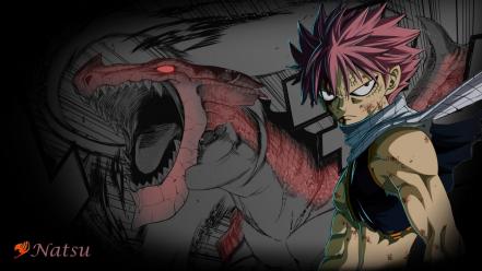 Fairy tail dragneel natsu wallpaper