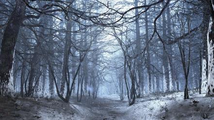Landscapes winter forest multiscreen wallpaper