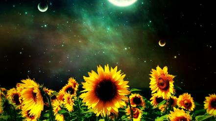 Night flowers fantasy art digital lemmy x wallpaper