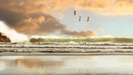 Sunset nature waves sea wallpaper