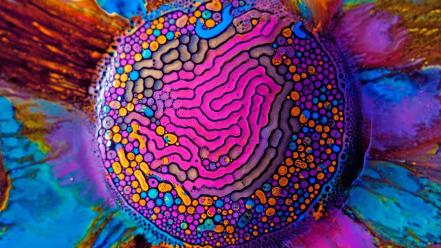 Abstract multicolor patterns liquid paint ferrofluid paintwork wallpaper