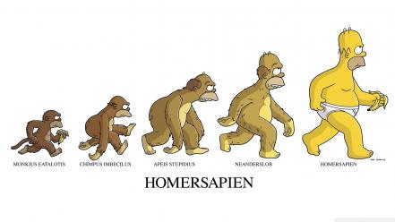 Humor homer simpson evolution the simpsons bananas monkeys wallpaper