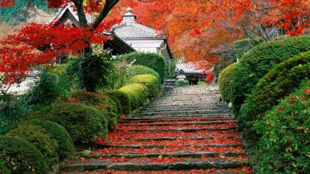 Japan nature red garden kyoto staircase wallpaper