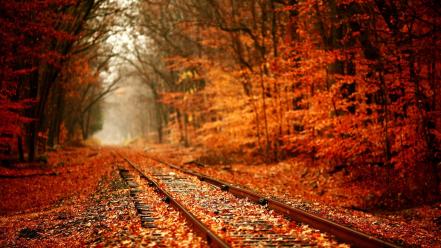 Landscapes nature trees autumn (season) leaves railroad tracks wallpaper