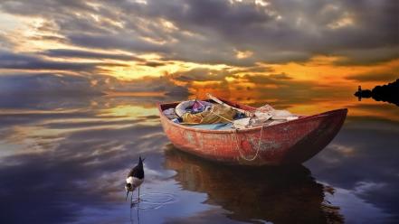 Nature birds boats skies wallpaper