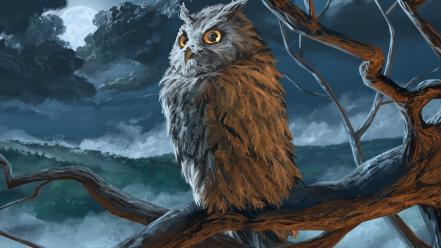 Owls otus wallpaper