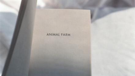 Paper white beds animal farm books george orwell wallpaper