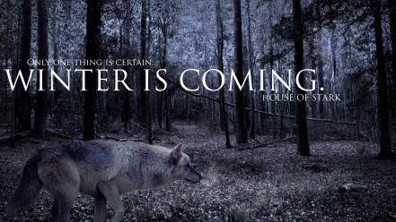 Strider game of thrones winter is coming wolves wallpaper