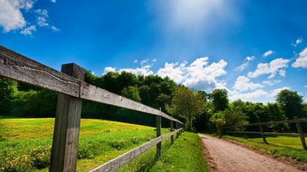 Summer country road wallpaper