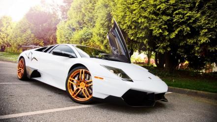 White cars lamborghini murcielago wallpaper