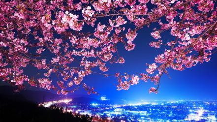 Japan trees shin mimura wallpaper