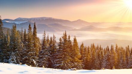 Landscapes snow forests wallpaper