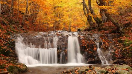 Nature trees autumn (season) leaves waterfalls wallpaper