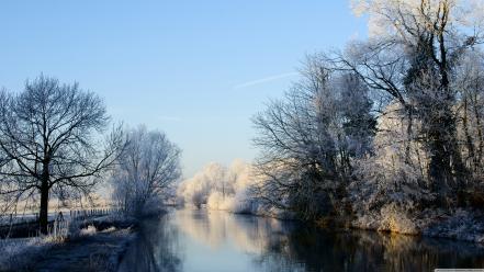Nature winter trees forests rivers wallpaper