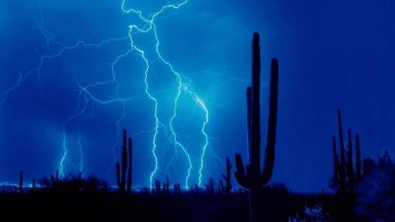 Storm cactus lightning lighting thunder up skies sky wallpaper