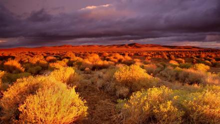 Clouds landscapes nature desert wallpaper