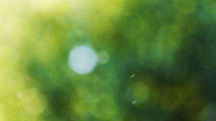 Green minimalistic bokeh blurred wallpaper