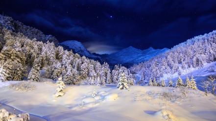 Snow trees dark night white stars cover wallpaper
