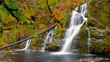 Trees autumn forests waterfalls lagoon foliage creek wallpaper