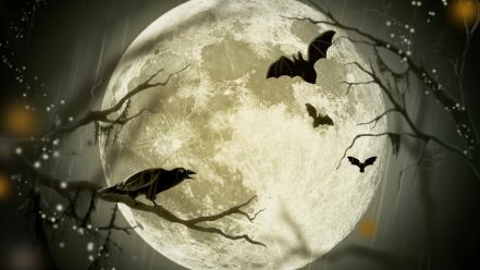 Trees night halloween moon bats raven wallpaper