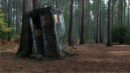 Forest tardis doctor who wallpaper