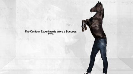 Funny horses centaur wallpaper