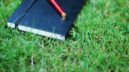 Grass pens notebook herbs wallpaper