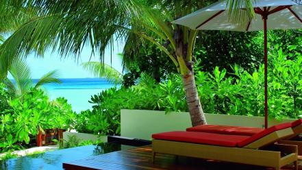 Maldives chairs palm trees resort vegetation tropics wallpaper