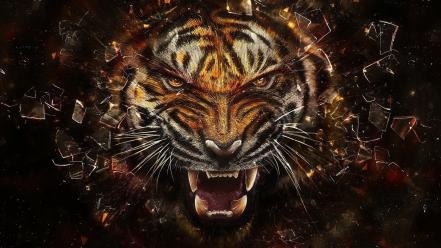 Predator animals tigers shattered wallpaper