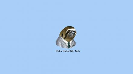 Sloth dollar bills wallpaper