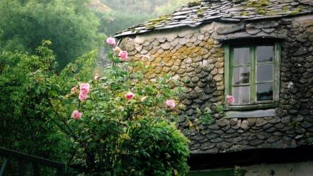 Trees moss villages roses old house windows wallpaper