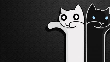 Black and white cats longcat tacgnol wallpaper