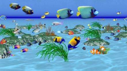 Fishes sea wallpaper