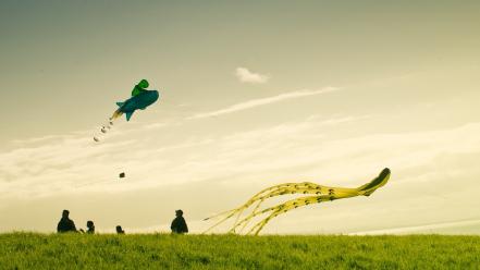 Grass kite new zealand sky wallpaper