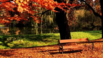 Light landscapes nature bench lawn parks autumn wallpaper