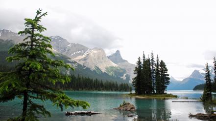 Mountains landscapes nature forests canada maligne lake wallpaper